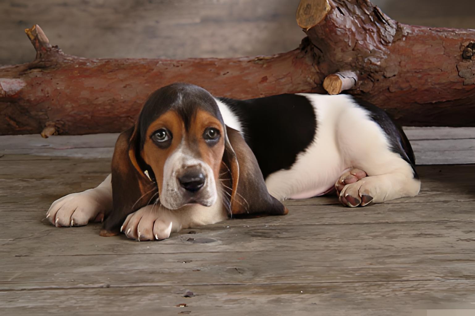 Ingredient Geek Tested ✅ For probiotics, feeding with peace of mind is the only thing that matters!