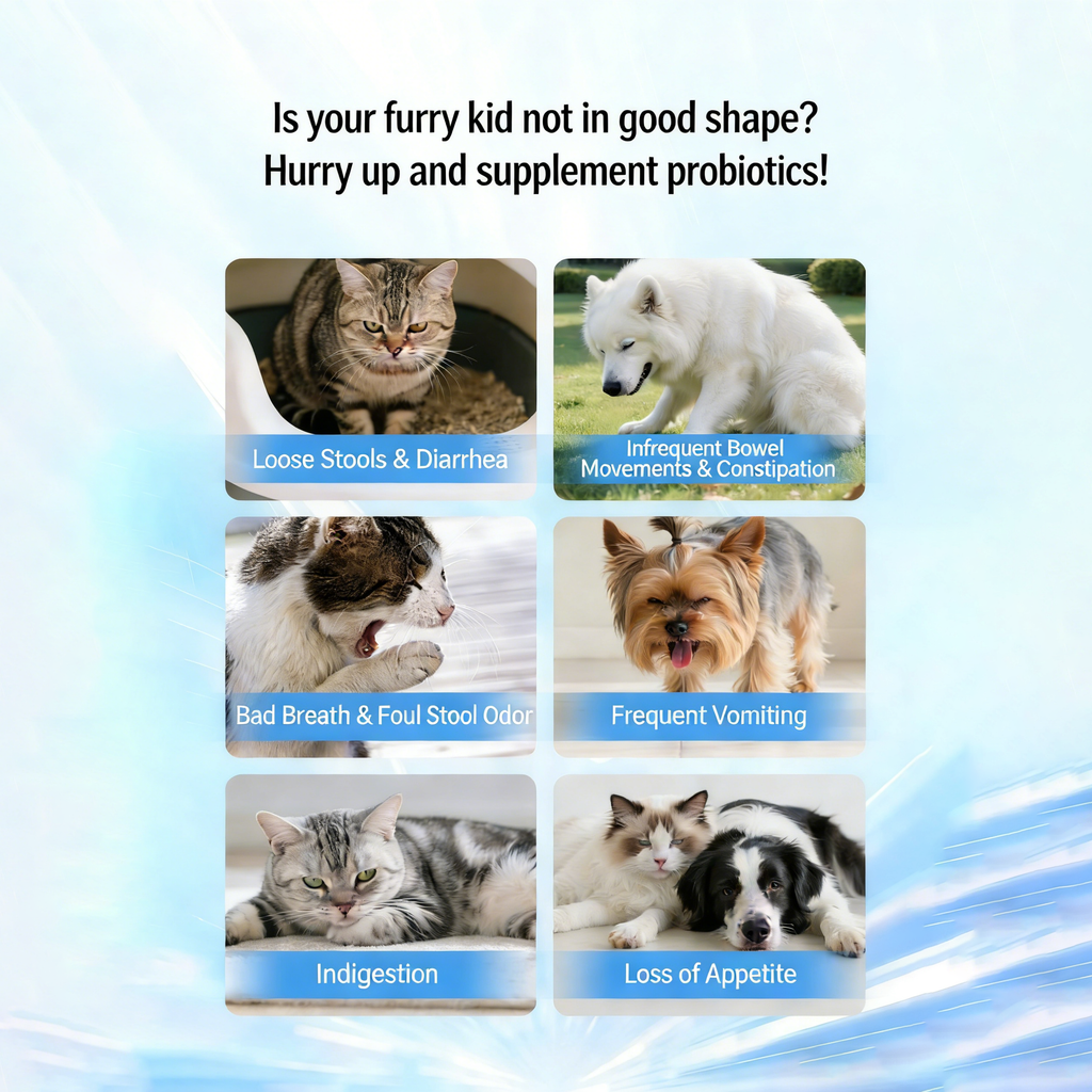 DLFURIXEL 8-in-1 Pet Soft Chews 300g - Joint, Gut & Skin Coat Support